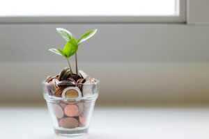 skat-crowdfunding